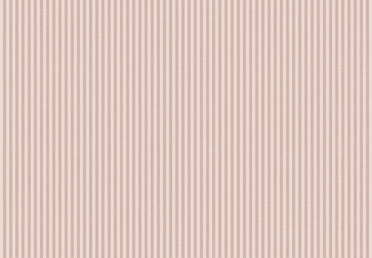 Cristiana Masi 38484 Top Stripes Riga 5 - tapeta w pionowe pasy