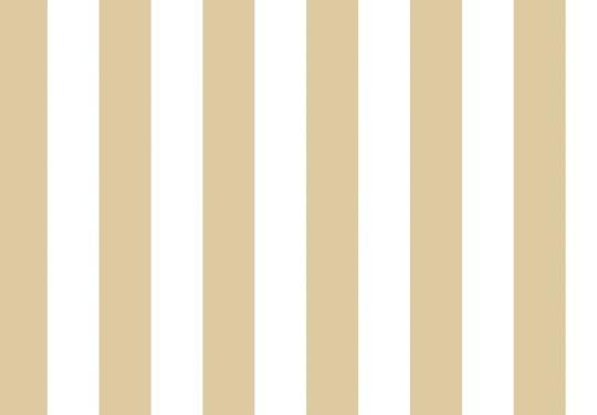 Cristiana Masi 38443 Top Stripes Riga 2 - tapeta w pionowe pasy