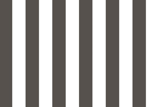 Cristiana Masi 38449 Top Stripes Riga 2 - tapeta w pionowe pasy