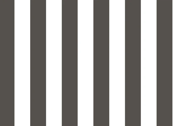 Cristiana Masi 38449 Top Stripes Riga 2 - tapeta w pionowe pasy