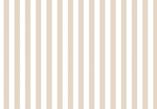 Cristiana Masi 38452 Top Stripes Riga 7 - tapeta w pionowe pasy