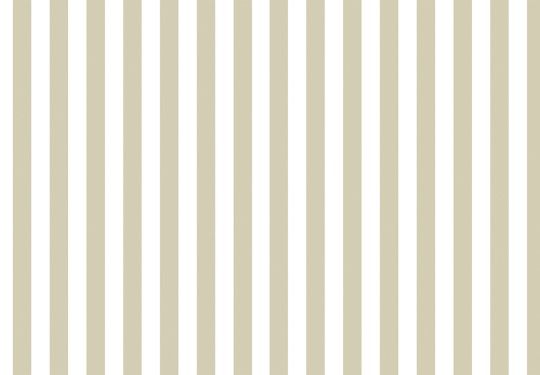 Cristiana Masi 38453 Top Stripes Riga 7 - tapeta w pionowe pasy