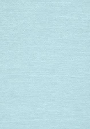 Thibaut T13110 Summer House Surfrider Light Blue - tapeta imitująca tkaninę trawiastą