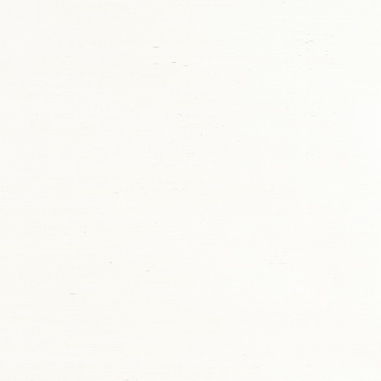 Thibaut T19640 Grasscloth Resource 6 Heather Sisals White - tapeta z sizalu