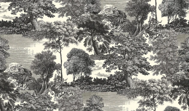 Khroma DGSAL1011-260 Amazone Salcey Forest - mural w leśny krajobraz