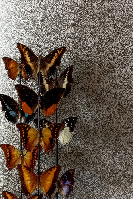 a69b77f09ebf19d29608fa79076cad2b