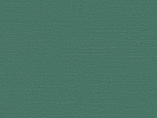 Omexco BOP315 Birds of Paradise - tapeta w prążki