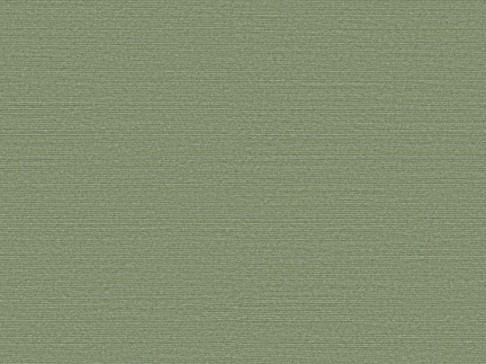 Omexco BOP316 Birds of Paradise - tapeta w prążki