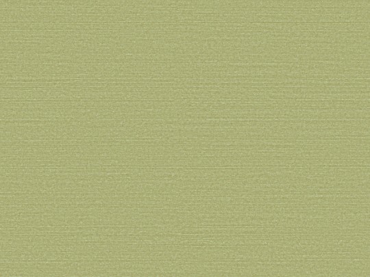 Omexco BOP317 Birds of Paradise - tapeta w prążki