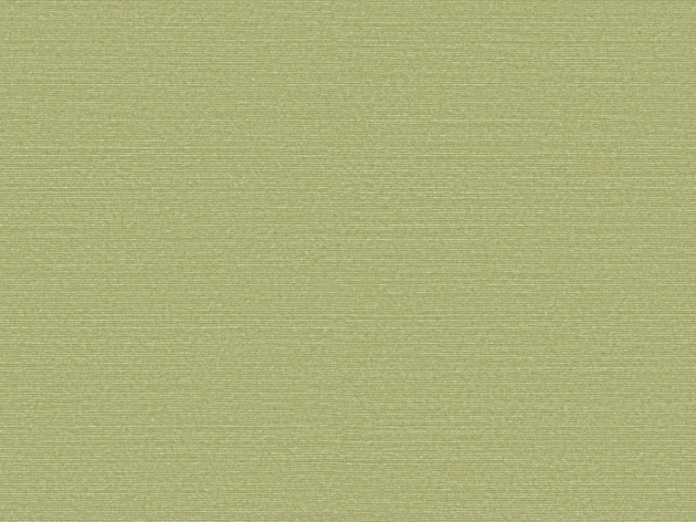 Omexco BOP317 Birds of Paradise - tapeta w prążki