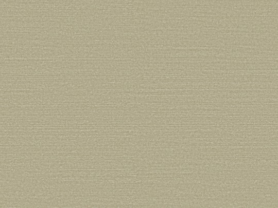 Omexco BOP318 Birds of Paradise - tapeta w prążki