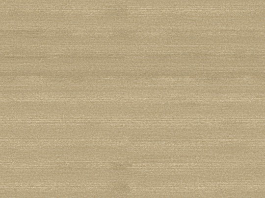 Omexco BOP319 Birds of Paradise - tapeta w prążki