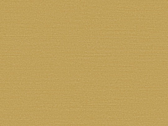 Omexco BOP321 Birds of Paradise - tapeta w prążki