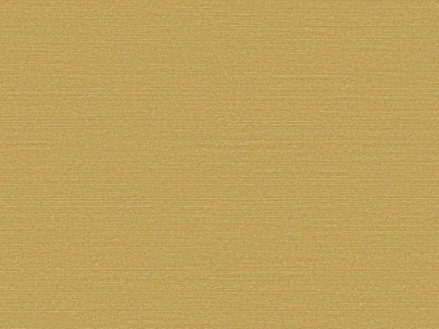 Omexco BOP321 Birds of Paradise - tapeta w prążki