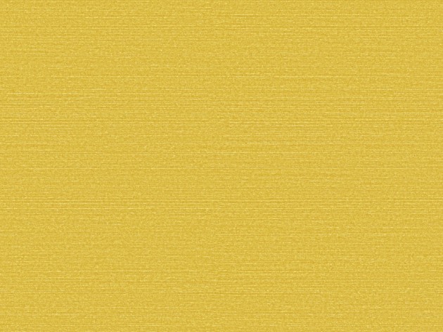 Omexco BOP322 Birds of Paradise - tapeta w prążki