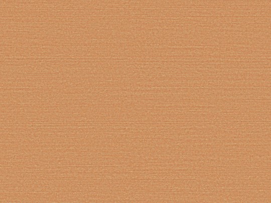 Omexco BOP302 Birds of Paradise - tapeta w prążki