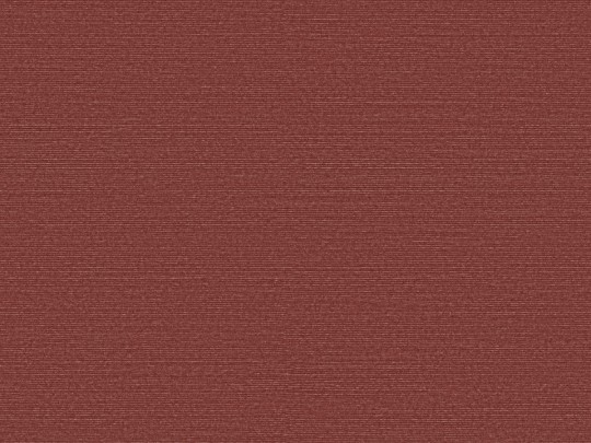 Omexco BOP333 Birds of Paradise - tapeta w prążki