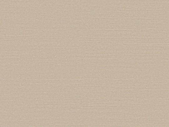 Omexco BOP308 Birds of Paradise - tapeta w prążki