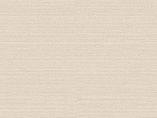 Omexco BOP325 Birds of Paradise - tapeta w prążki