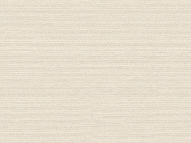 Omexco BOP324 Birds of Paradise - tapeta w prążki