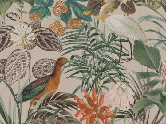 Omexco BOP502 Birds of Paradise - tapeta w egzotyczne ptaki i rośliny