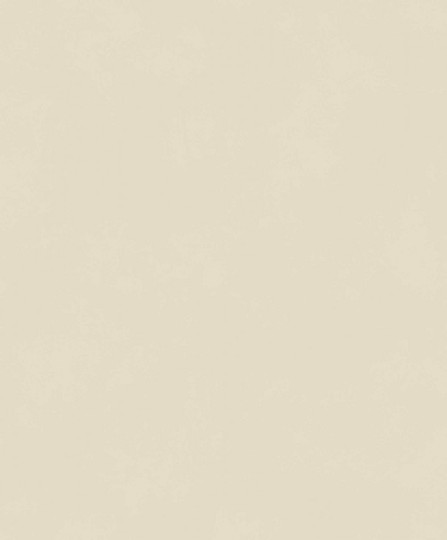 Khroma BLONE1007 Colorythm Color Cement - tapeta jednolita z efektem przecierki