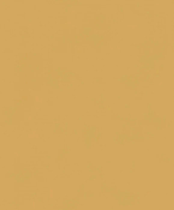 170f2c655c8458707e7ade9b867549d5