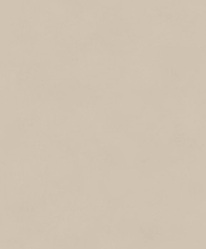 804ec9ee65c5cfaf3aea0bee523aedbc