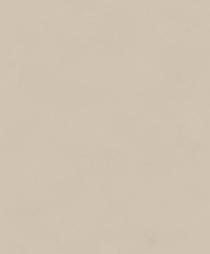 804ec9ee65c5cfaf3aea0bee523aedbc