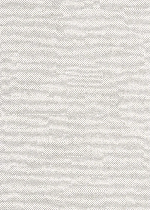 99ec8c3dbc39205c62d544d273b98afc