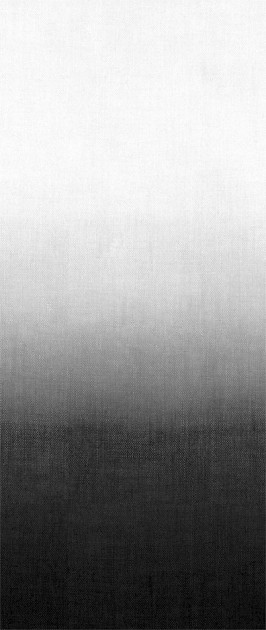 Khroma DGMIT105 Wall Designs I Mitsu Night - mural z efektem ombre