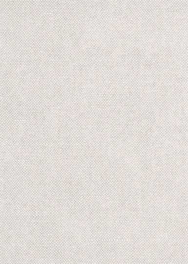 Khroma CLR021 Wall Designs I Lys Oyster - tapeta jak tkanina
