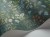 250eddb5d34130ee8b2ab60724a560e9