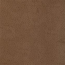 Thibaut T6827 Texture Resource 3 Natural Ostrich Earth - tapeta imitująca umaszczenie strusia