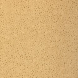 Thibaut T6829 Texture Resource 3 Natural Ostrich Harvest - tapeta imitująca umaszczenie strusia