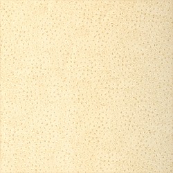 Thibaut T6830 Texture Resource 3 Natural Ostrich Cream - tapeta imitująca umaszczenie strusia