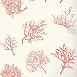 Thibaut T6867 Texture Resource 3 Coral Gables Coral on White - tapeta w koralowce