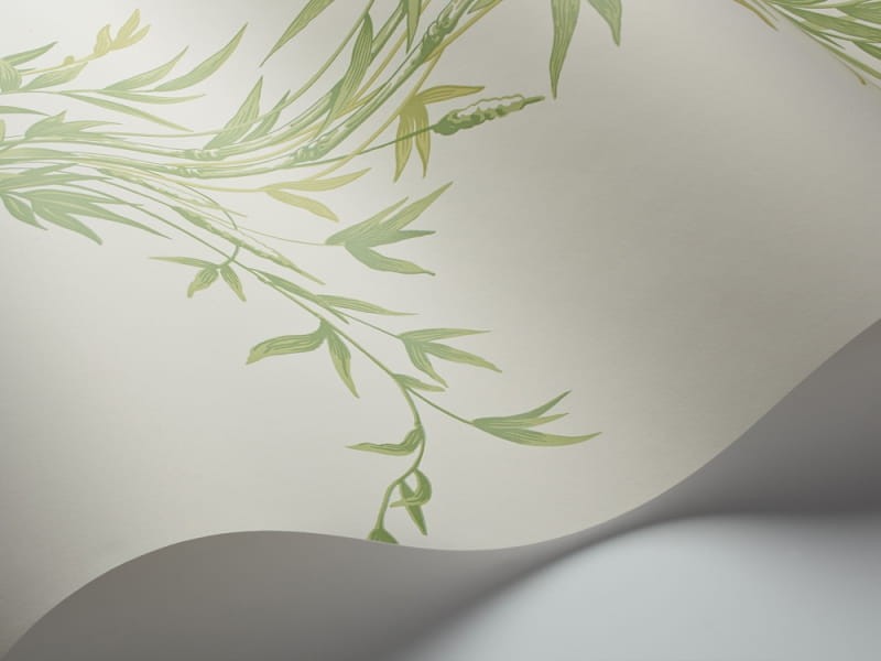 Tapeta Cole & Son Archive Anthology 100/5023 Bamboo