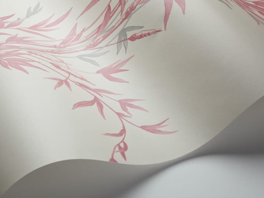 Tapeta Cole & Son Archive Anthology 100/5024 Bamboo