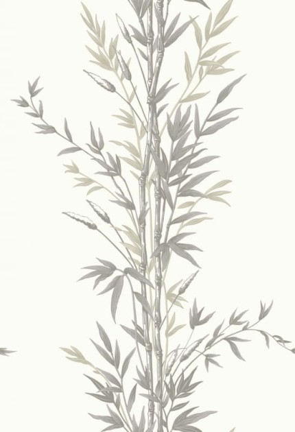 Tapeta Cole & Son Archive Anthology 100/5025 Bamboo