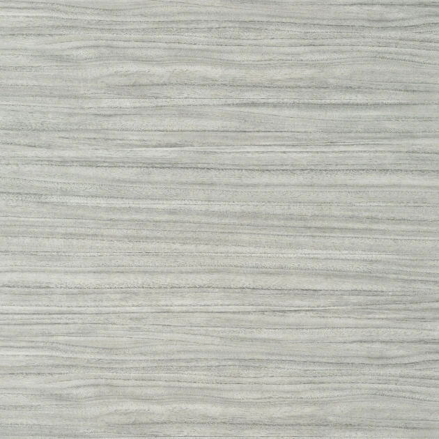 Thibaut TWW10983 Texture Resource 7 Woodrow Wide Width Grey - tapeta imitująca drewno