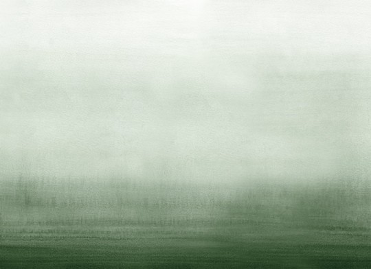 Rebel Walls R21774 Modern Simplicity Gradient Green - mural w gradient