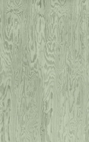 Rebel Walls R21124 Modern Simplicity Wood Shades Green - mural imitujący drewno