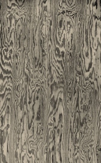 Rebel Walls R21125 Modern Simplicity Wood Shades Gray - mural imitujący drewno