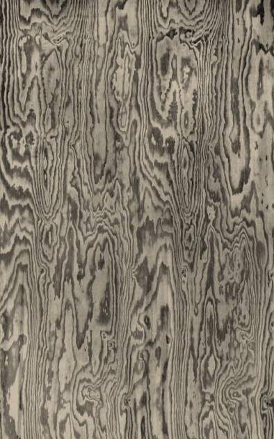 Rebel Walls R21125 Modern Simplicity Wood Shades Gray - mural imitujący drewno