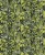 2d5bd573aeed5db478eaac4657f9f374