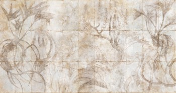 b98bfe8c722eca5840065fa211fae726