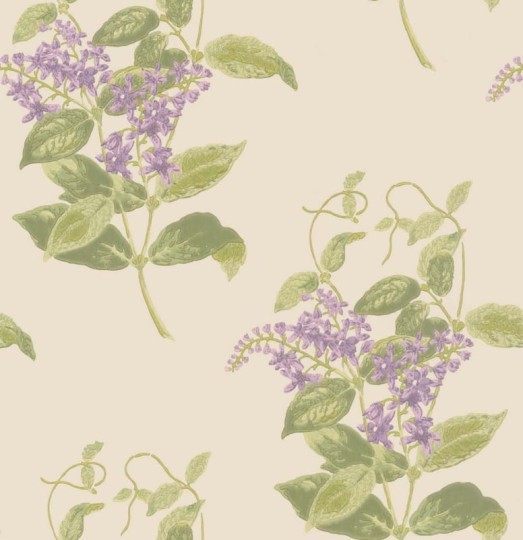 Tapeta Cole & Son Archive Anthology 100/12056 Madras Violet