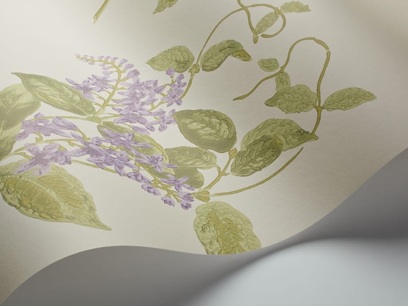 Tapeta Cole & Son Archive Anthology 100/12056 Madras Violet