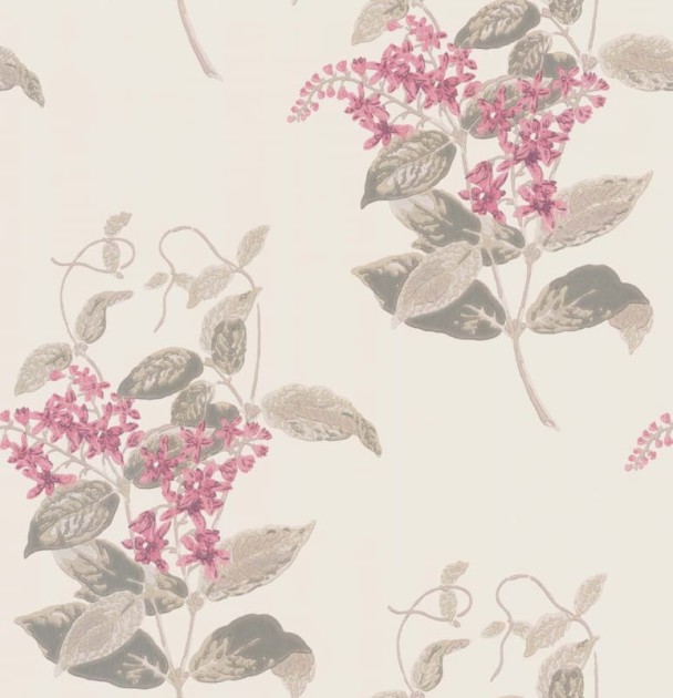 Tapeta Cole & Son Archive Anthology 100/12058 Madras Violet
